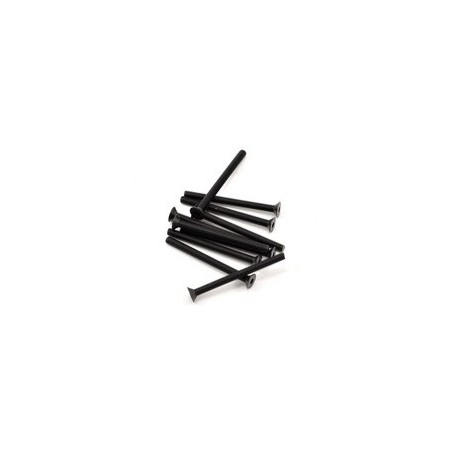 SW108008 SWORKz FH/ST Screw M3x35mm (10)
