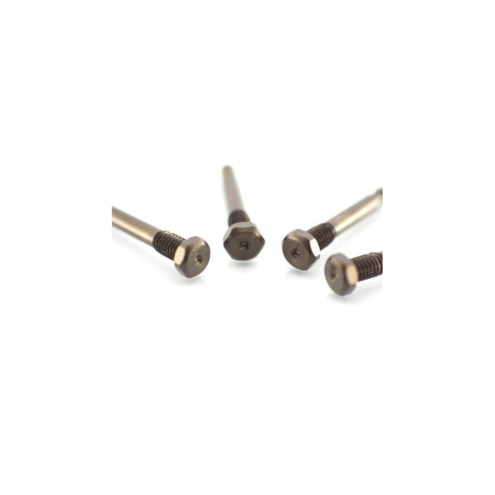 RCPJ-AEB3.2-015 RC-PROJECT THREADED SHOCK PINS IN ERGAL 7075-T6 FOR TE RCPJ-AEB3.2-015 RC-PROJECT THREADED SHOCK PINS IN ERGAL 7075-T6 FOR TE