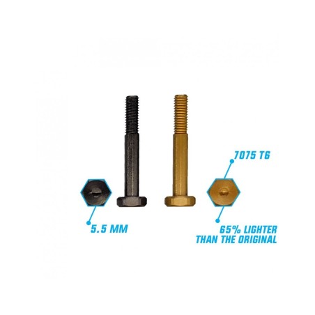 RCPJ-TLR8X-002 Shock Pins in Ergal 7075-T6 for TLR 8ight X