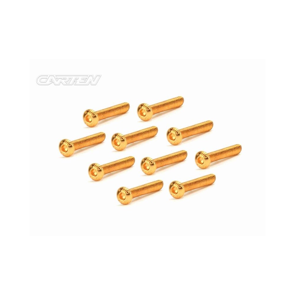 GBH0325 CARTEN Screw Set 12.9- BH M3x25(Gold Coating) (10)
